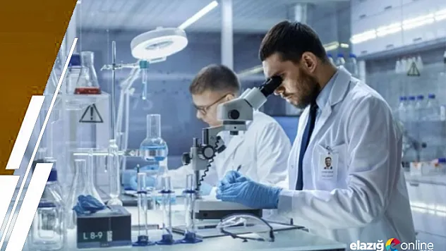 Dünya Sağlık Örgütü koronavirüsün kaynağını açıkladı