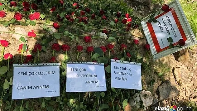 Kızı talep etti, Mehmetçik kabri güllerle donatıp gönüllere dokundu