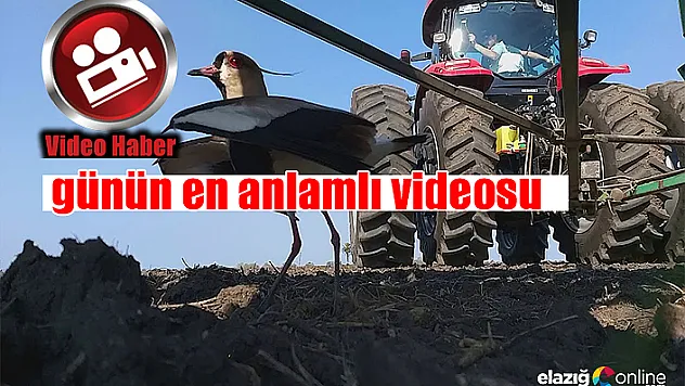 Kol kanat germek sözü hiç bu kadar anlamlı olmamıştı