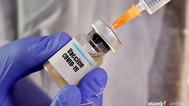 Koronavirüs aşısı insan vücudunda olumlu sonuç verdi!