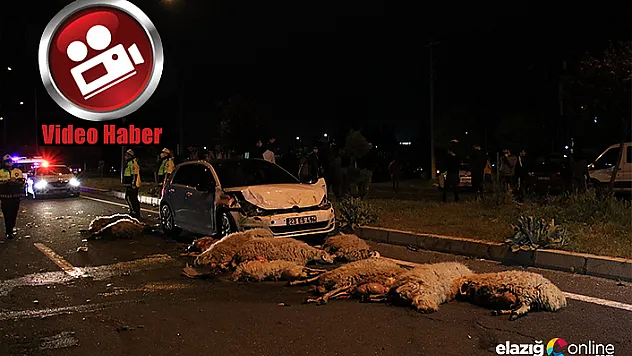 Yarış yapan 2 otomobil 30 koyunu telef etti