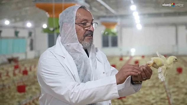 Basın sektöründen hayvancılığa!