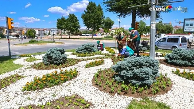 274 bin çiçek toprakla buluştu