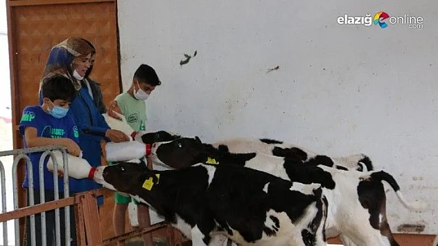 Bahçesi bile yoktu, şimdi devlet desteği ile çiftliği var