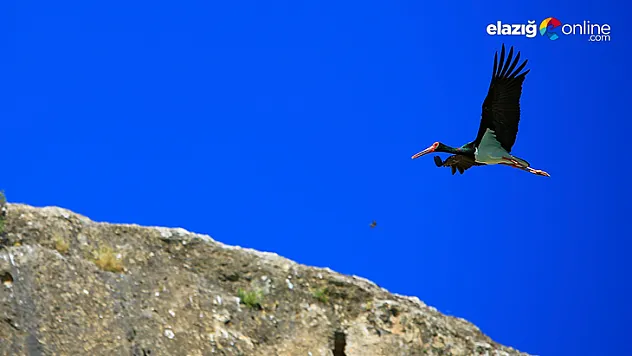 9 milyon yıllık kanyonun sahipleri geldi