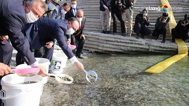 97. yıl anısına 970 bin adet balık yavrusu Keban Barajı'na bırakıldı