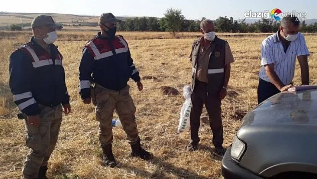 Ağ ve cihazla kaçak avlanan 5 şahıs yakalandı