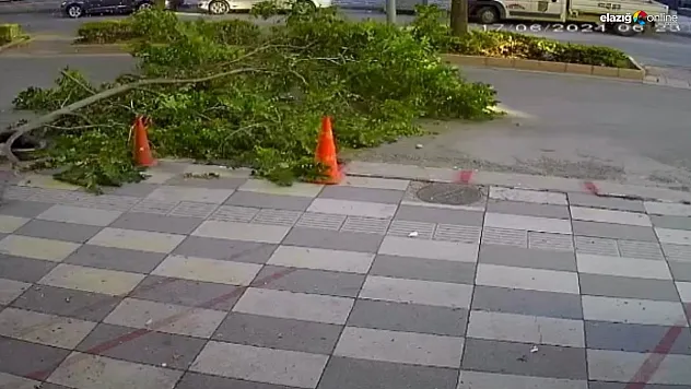 Herhangi bir aracın geçmemesi faciayı önledi