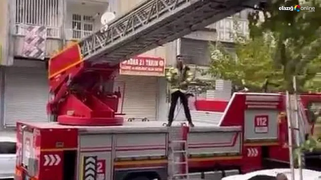 Ağaçta mahsur kalan kediyi kurtarmak için seferber oldular