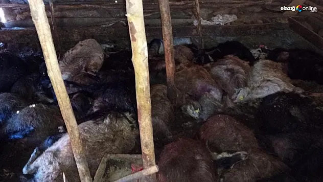 Maden'de Yıldırım Faciası: 45 Hayvan Telef Oldu!