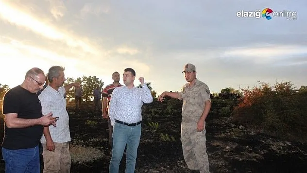 Ağın'a yıldırım düştü, 20 dönüm arpa kül oldu!