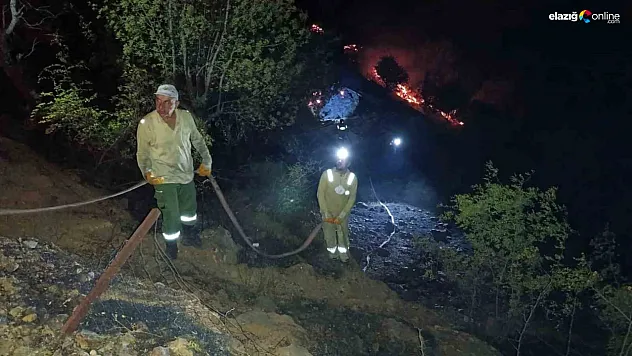 Elazığ'da Yangın Paniği! Ahırda Başlayan Alevler Ormanlık Alana Sıçradı!