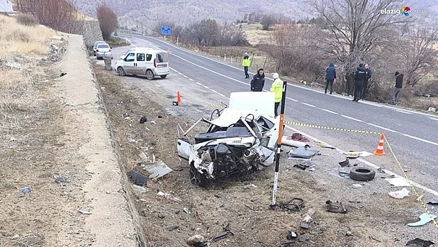 Alacakaya'da Feci Kaza: Otomobil Duvara Çarptı, Sürücü Hayatını Kaybetti!