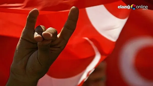 Almanya'da 'ülkücü hareket' yasaklanıyor