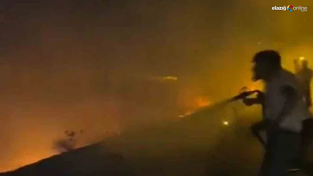 Gece Saatlerinde Elazığ Altınçevre'de Arazi Yangını: Can Kaybı Yok!