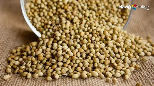 Anadolu sofralarının gizli ilacı!