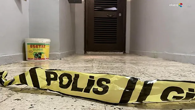 Annesi ve ağabeyini öldüren şahısla ilgili şok gelişme!