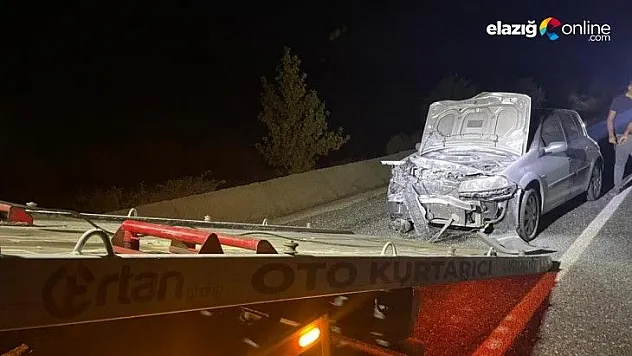 Araç domuz sürüsüne çarptı: 2 yaralı