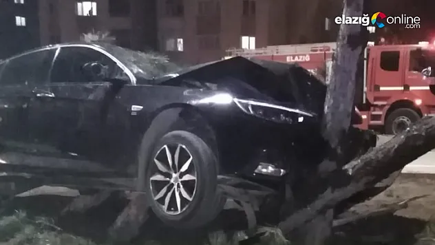 Araç sürücüsü ağaca çarparak durabildi
