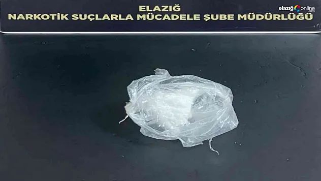 Dedektör köpek 'Alex' yine yakaladı!