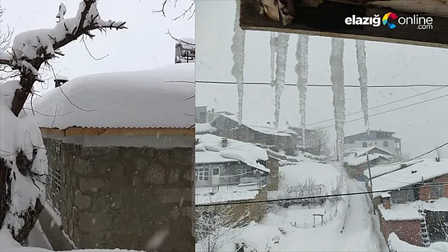 Arıcak kara teslim oldu