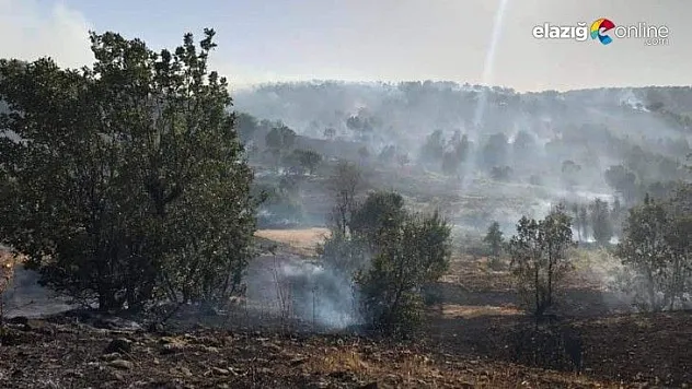 Arıcak'taki orman yangını söndürüldü