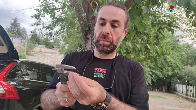 Ateş semenderinin popülasyonu inceleniyor