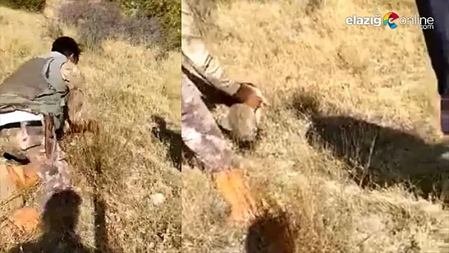 Avcılar elleriyle yakaladığı tavşanı geri doğaya saldı