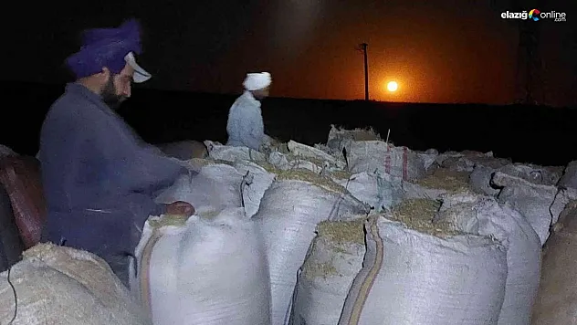 Ay ışığında çalışıyorlar, günlük 500 lira kazanıyorlar