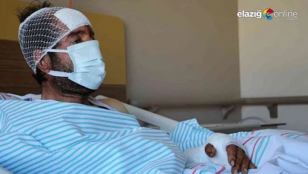 Ayı saldırısı sonucu hastanelik olan şahıs, dehşet anlarını anlattı