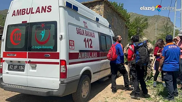 Ayı saldırısından elindeki sopayla kurtuldu