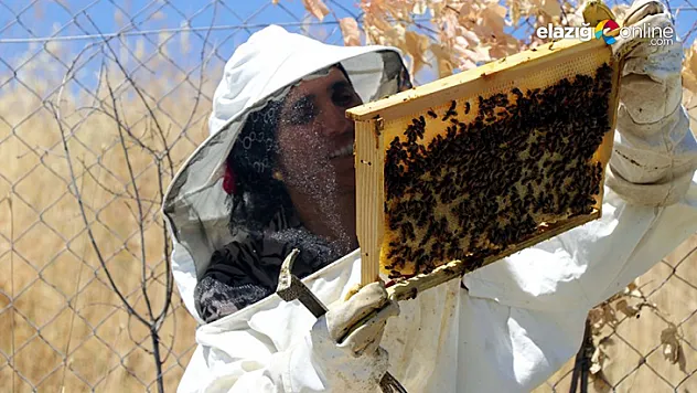 Babası için tükettiği balın iyi gelmesi üzerine bu işi meslek edindi