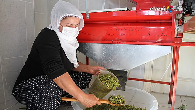 Bağışıklık sistemi güçlendirdiği bilinen 'Koruk Suyu' talep görmeye başladı