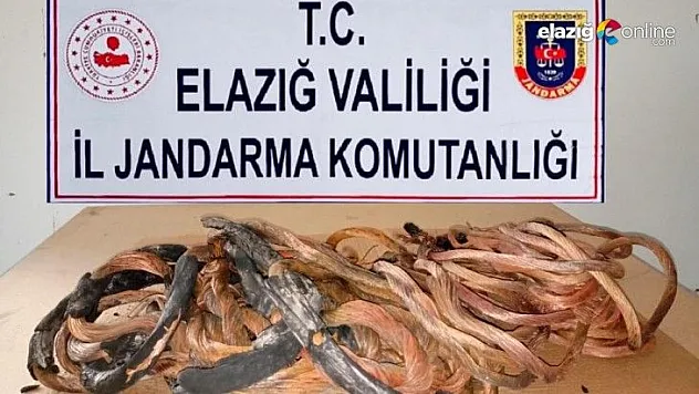 Erzurum'da Çaldılar, Elazığ'da Yakalandılar