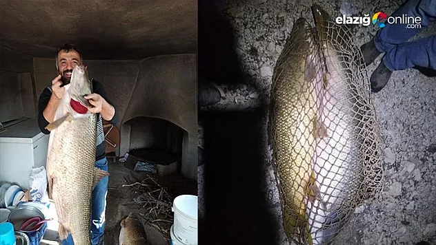 Balıkçılar ağa takılan dev turnalar karşısında şaşkına döndü