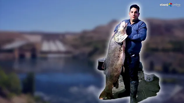 Balıkçılar Şaşkın! Yakalanan Dev Turna Görenleri Hayrete Düşürdü!