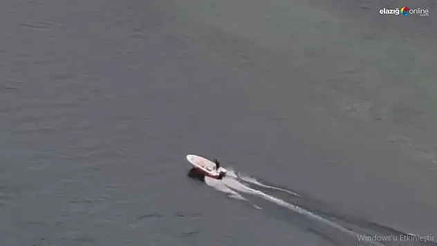 Mahsur kalan köpeklerin imdadına vatandaşlar yetişti!