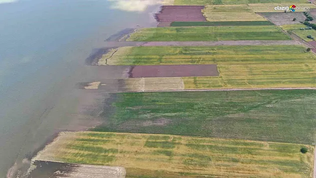 Elazığ'da Baraj Debisi Yükseldi, Binlerce Dönüm Ekin Suya Gömüldü!