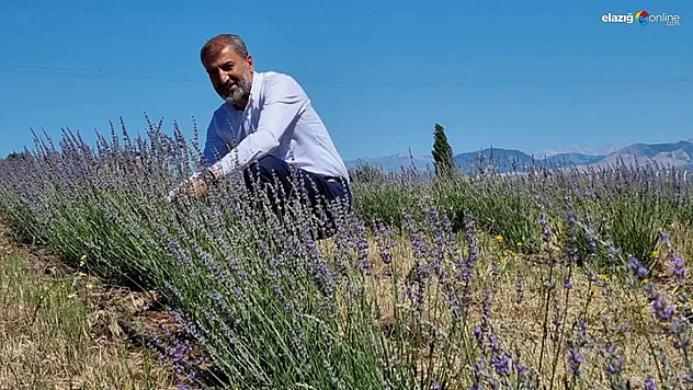 Başkan Akbaba'nın girişimi meyvelerini vermeye başladı