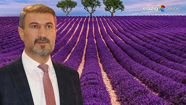 Başkan Akbaba Sosyal Medya Hesabından Hayalini Paylaştı: Ya tutarsa?