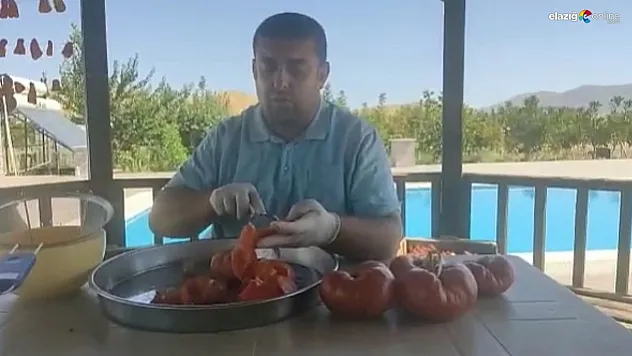 Başkan Karataş'tan yerli üretime tohum desteği! Bir kilo gelen domateslerin tohumunu ücretsiz dağıtacak