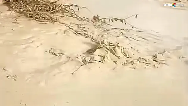 Baskil'de Şiddetli Yağış: Dereler Taştı, Tarım Arazileri Zarar Gördü!