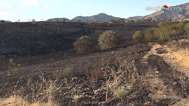 Baskil'e bağlı Aladikme Köyü'nde yangın çıktı