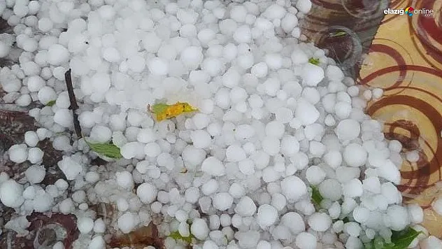 Baskil'de dolu yağışı kayısı bahçelerine zarar verdi!
