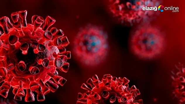 Bazı insanların Covid-19'u hafif atlatmasının nedeni ortaya çıktı