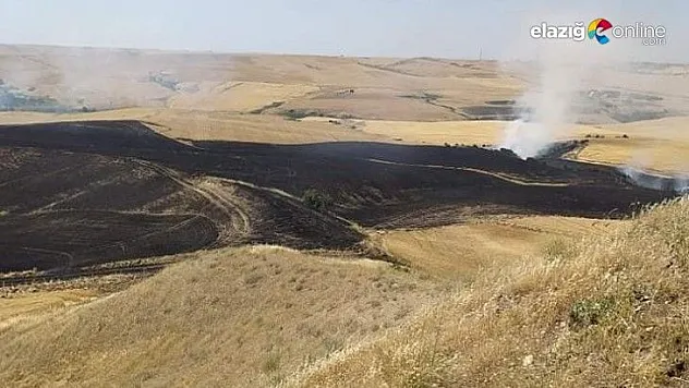 Biçerdöverden sıçrayan kıvılcım 200 dönümlük ekili alanı küle çevirdi