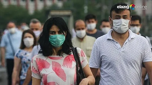 Bilim insanları koronanın şu andaki tek çözümünü paylaştı!