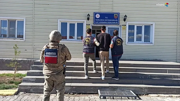 Bingöl'de 11 yıl kesinleşmiş hapis cezası bulunan şahıs yakalandı