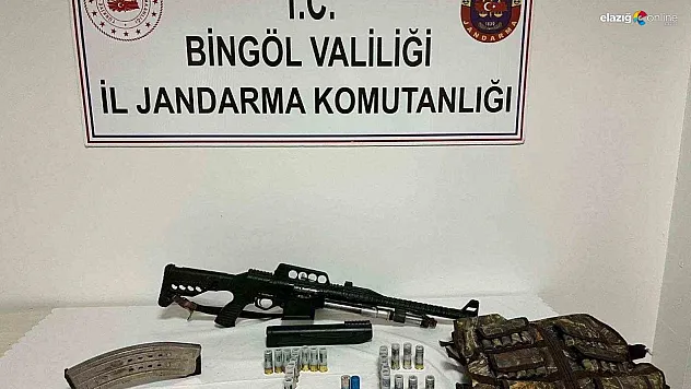 Bingöl'de 2 adet tüfek ele geçirildi