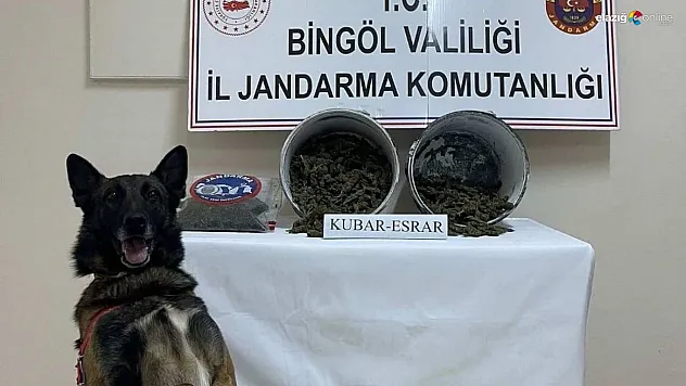 Bingöl'de 2 kilo esrar ele geçirildi: 1 tutuklama